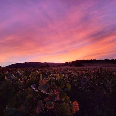 Le Clos Du Botaniste Pouilly-le-Monial Dış mekan fotoğraf