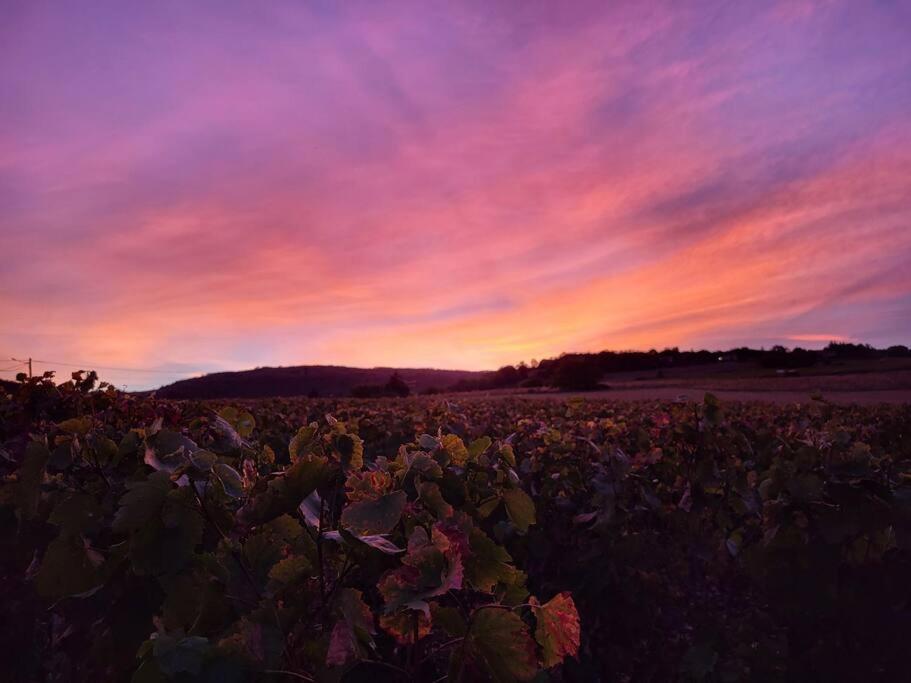 Le Clos Du Botaniste Pouilly-le-Monial Dış mekan fotoğraf