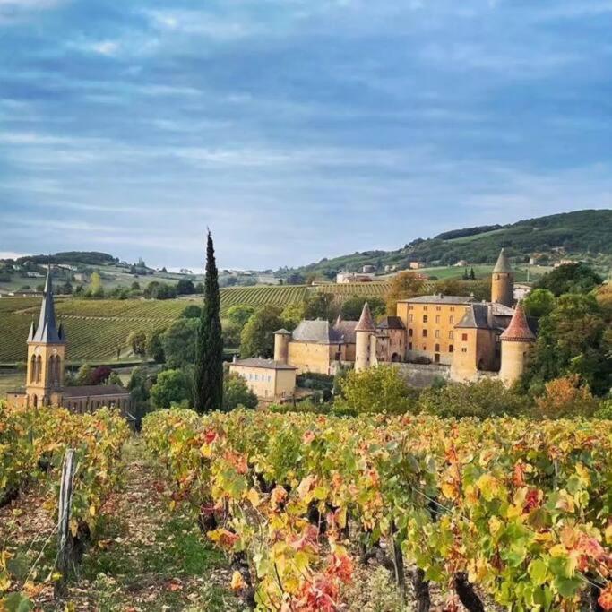 Le Clos Du Botaniste Pouilly-le-Monial Dış mekan fotoğraf